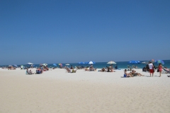 At Fort Lauderdale Beach